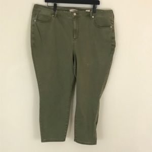 NWT JustFab Cool Capri Jean Olive 24W